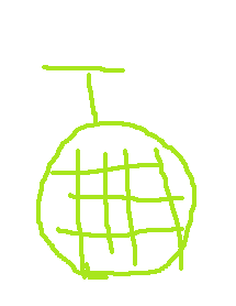 melon.png